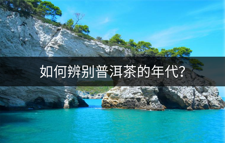 如何辨別普洱茶的年代？