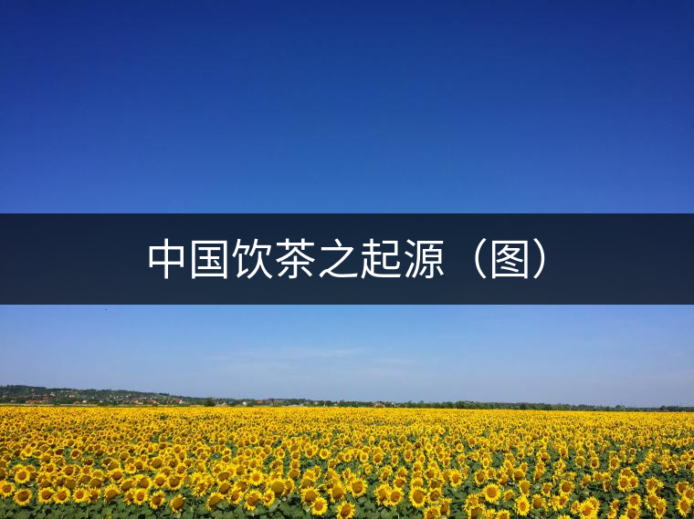 中國飲茶之起源（圖）