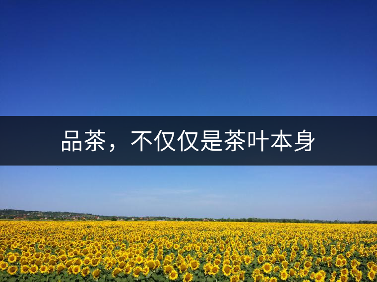 品茶，不僅僅是茶葉本身