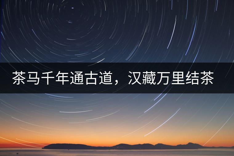 茶馬千年通古道,漢藏萬里結(jié)茶緣 茶馬千年通古道,漢藏萬里結(jié)茶緣