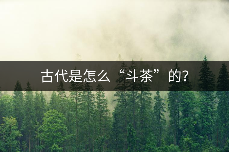 古代是怎么“斗茶”的？