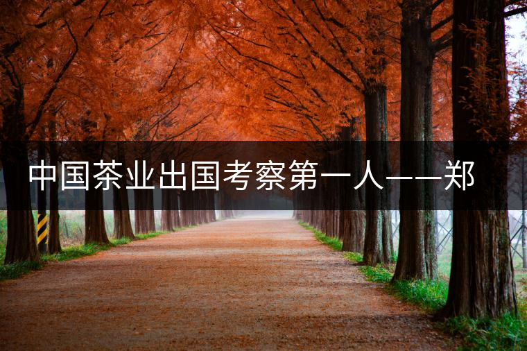 中國(guó)茶業(yè)出國(guó)考察第一人——鄭世璜