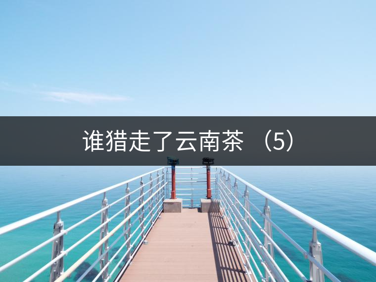 誰獵走了云南茶 （5）