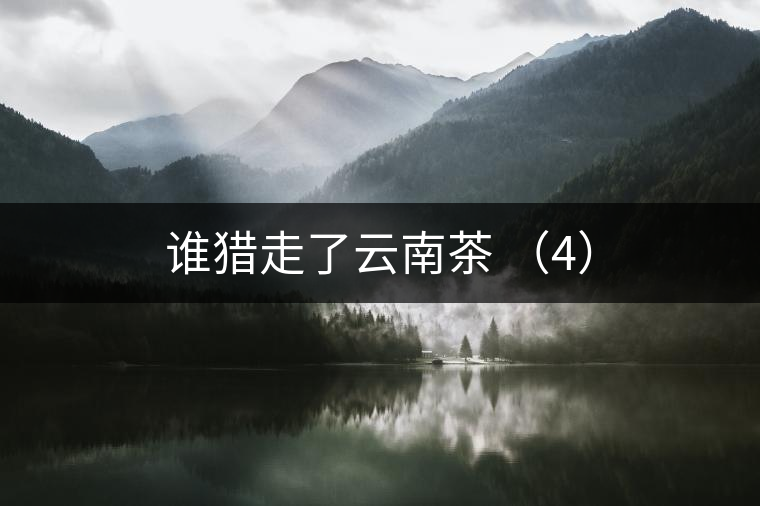 誰獵走了云南茶 （4）