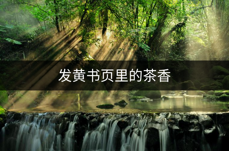 發(fā)黃書頁里的茶香 發(fā)黃書頁里的茶香