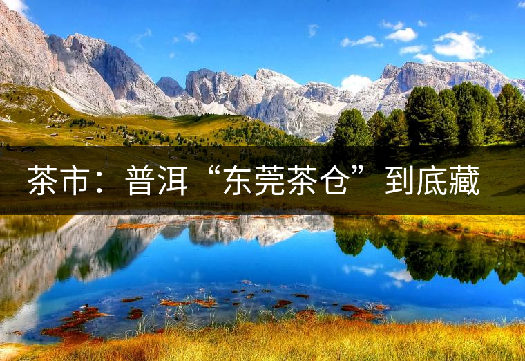 茶市：普洱“東莞茶倉”到底藏給誰喝？