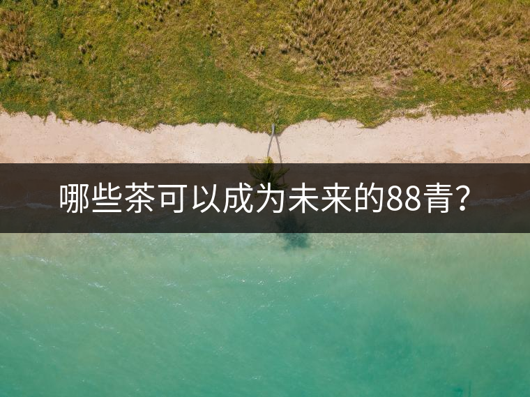 哪些茶可以成為未來的88青？