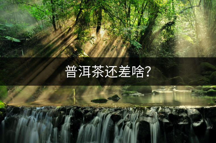 普洱茶還差啥？