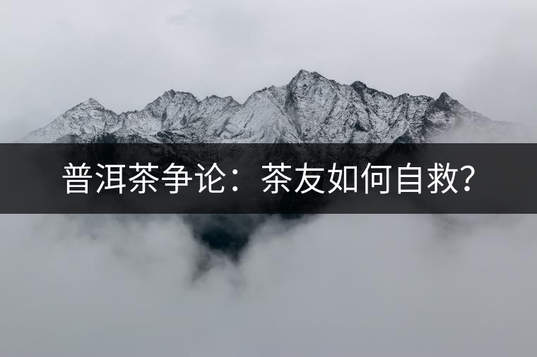 普洱茶爭(zhēng)論：茶友如何自救？