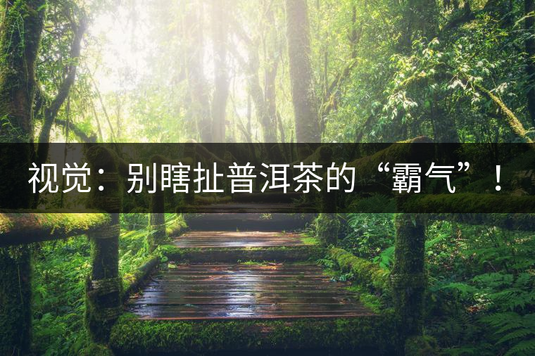 視覺：別瞎扯普洱茶的“霸氣”！偽大師！