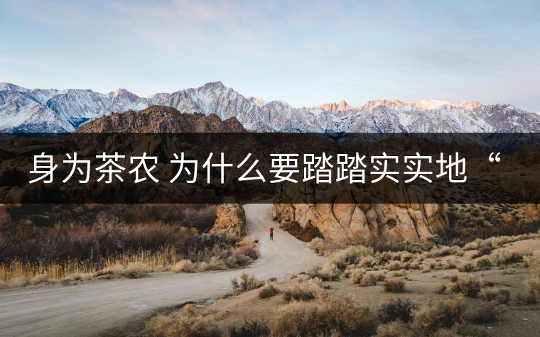 身為茶農(nóng) 為什么要踏踏實(shí)實(shí)地“放毒”！