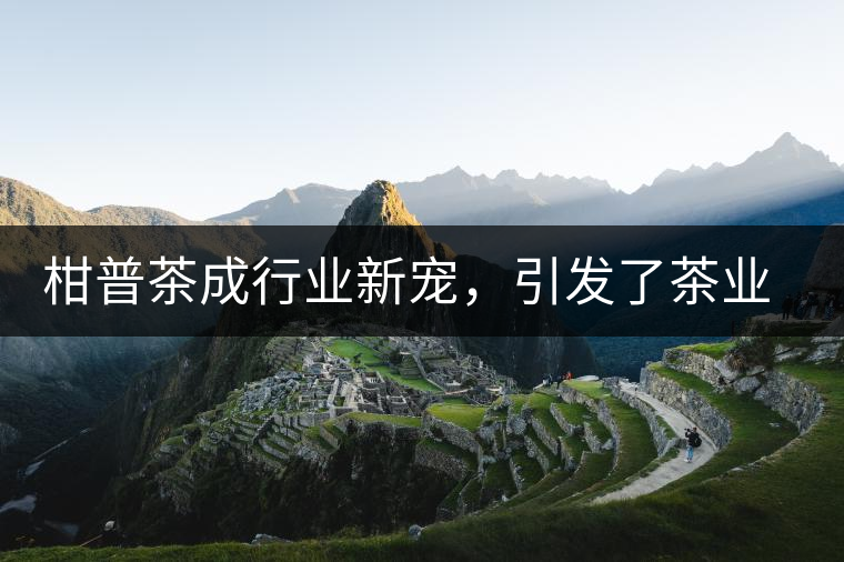 柑普茶成行業(yè)新寵，引發(fā)了茶業(yè)市場(chǎng)新的機(jī)遇與爆點(diǎn)