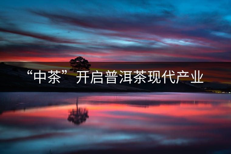 “中茶”開啟普洱茶現代產業(yè)