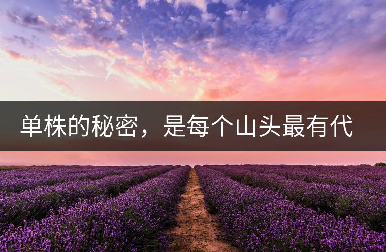 單株的秘密，是每個山頭最有代表性的味道？