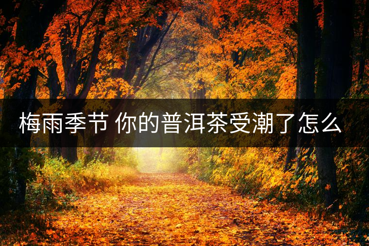 梅雨季節(jié) 你的普洱茶受潮了怎么辦？