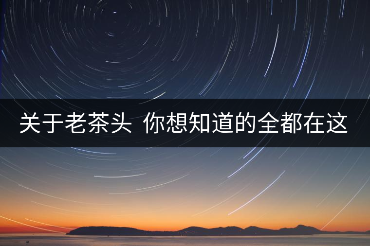 關(guān)于老茶頭  你想知道的全都在這兒啦！