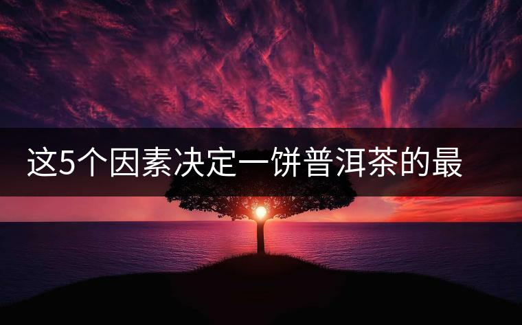 這5個因素決定一餅普洱茶的最后價格