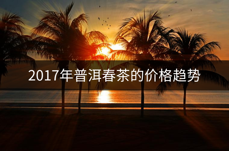 2017年普洱春茶的價格趨勢 2017年普洱春茶的價格趨勢