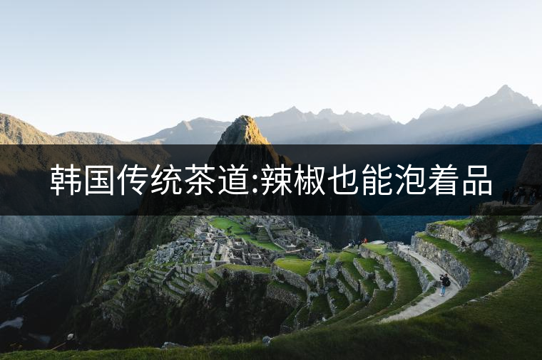 韓國(guó)傳統(tǒng)茶道:辣椒也能泡著品 韓國(guó)傳統(tǒng)茶道:辣椒也能泡著品