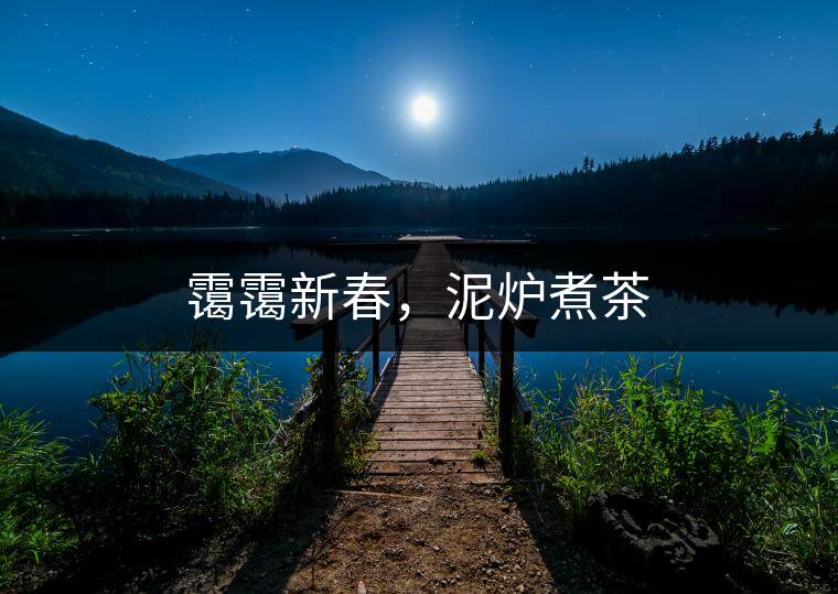 靄靄新春，泥爐煮茶