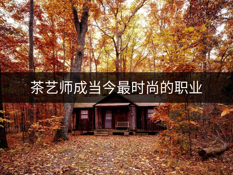 茶藝師成當(dāng)今最時(shí)尚的職業(yè) 茶藝師成當(dāng)今最時(shí)尚的職業(yè)