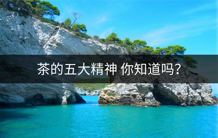 茶的五大精神 你知道嗎？