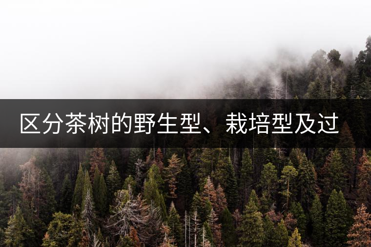 區(qū)分茶樹的野生型、栽培型及過渡型