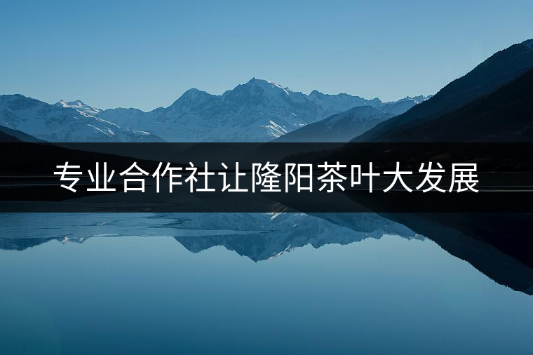 專業(yè)合作社讓隆陽(yáng)茶葉大發(fā)展