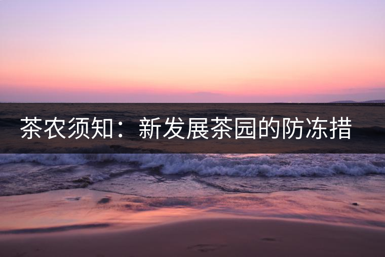 茶農須知:新發(fā)展茶園的防凍措施 茶農須知:新發(fā)展茶園的防凍措施