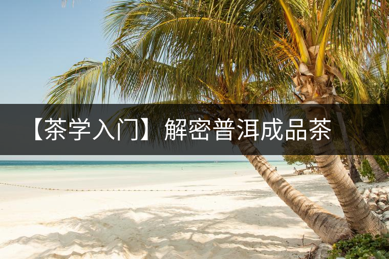 【茶學入門】解密普洱成品茶干燥