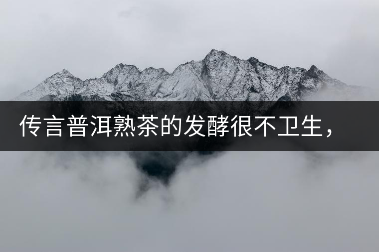 傳言普洱熟茶的發(fā)酵很不衛(wèi)生，是真的嗎？
