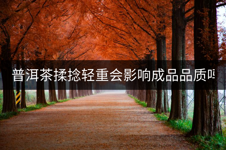 普洱茶揉捻輕重會影響成品品質(zhì)嗎？