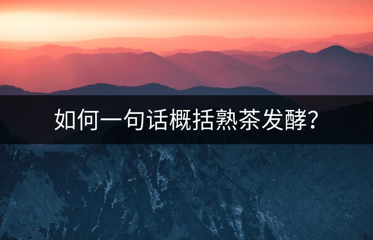 如何一句話概括熟茶發(fā)酵？