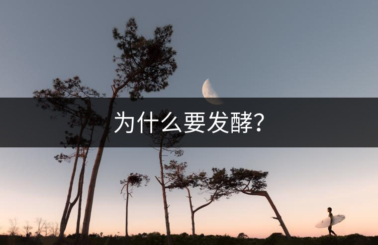 為什么要發(fā)酵？