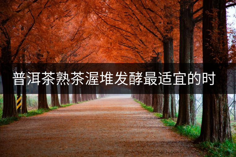 普洱茶熟茶渥堆發(fā)酵最適宜的時期是什么時候？