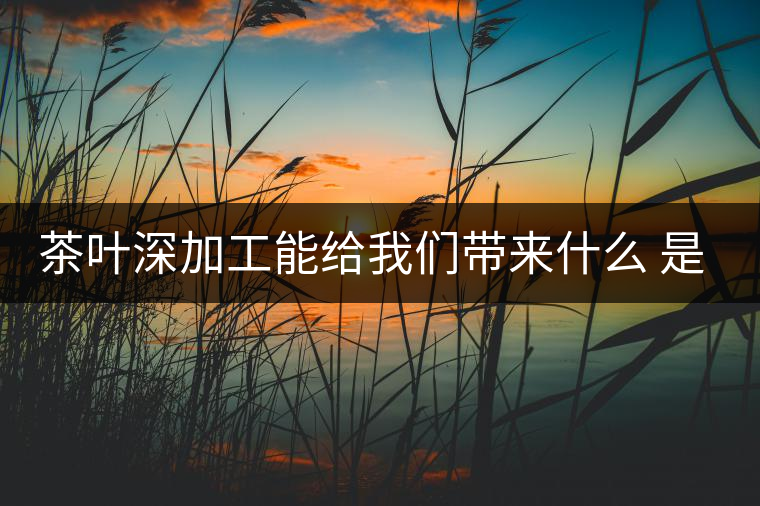 茶葉深加工能給我們帶來什么 是利還是弊呢？