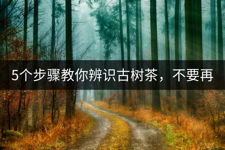 5個步驟教你辨識古樹茶，不要再被騙了！