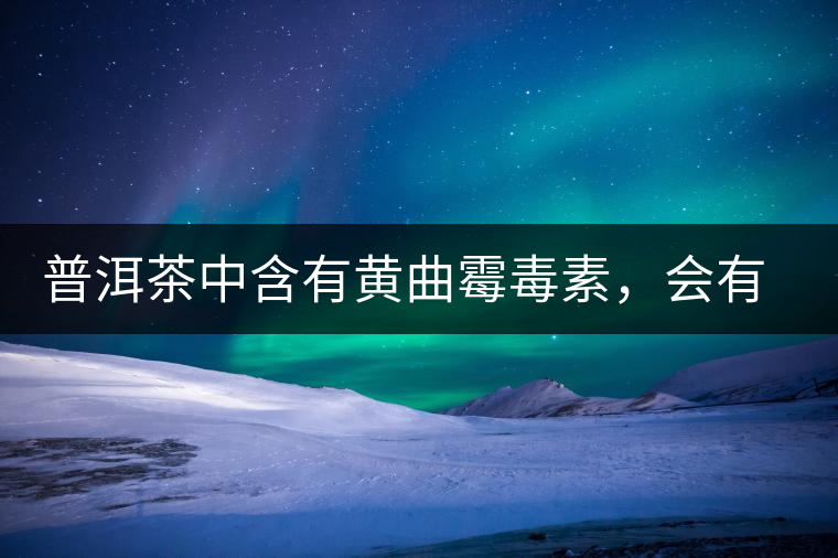 普洱茶中含有黃曲霉毒素，會有致癌的危險？終于有明確的答案了