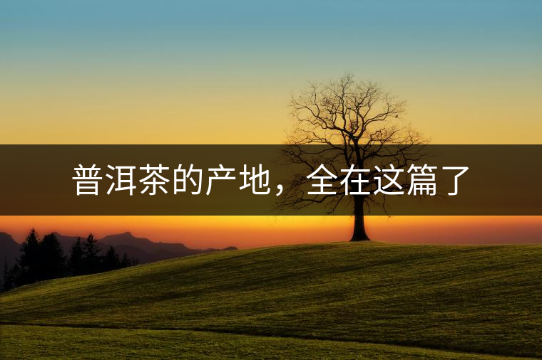 普洱茶的產(chǎn)地，全在這篇了