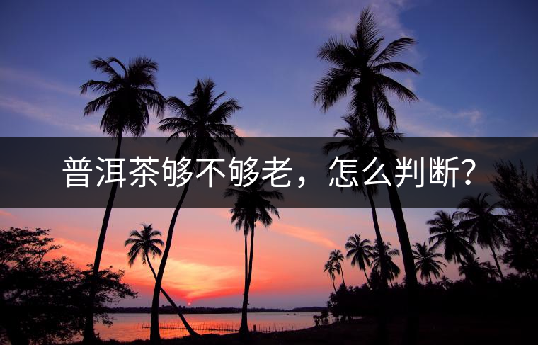 普洱茶夠不夠老，怎么判斷？