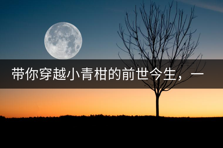 帶你穿越小青柑的前世今生，一文看透茶界“萌寵”的來(lái)歷