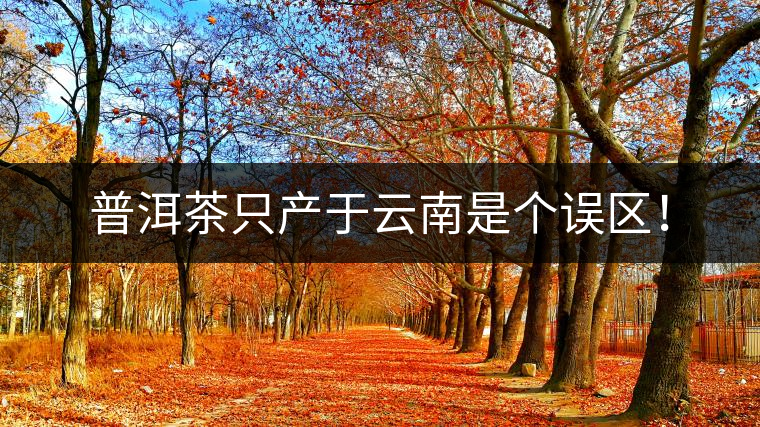 普洱茶只產(chǎn)于云南是個(gè)誤區(qū)！
