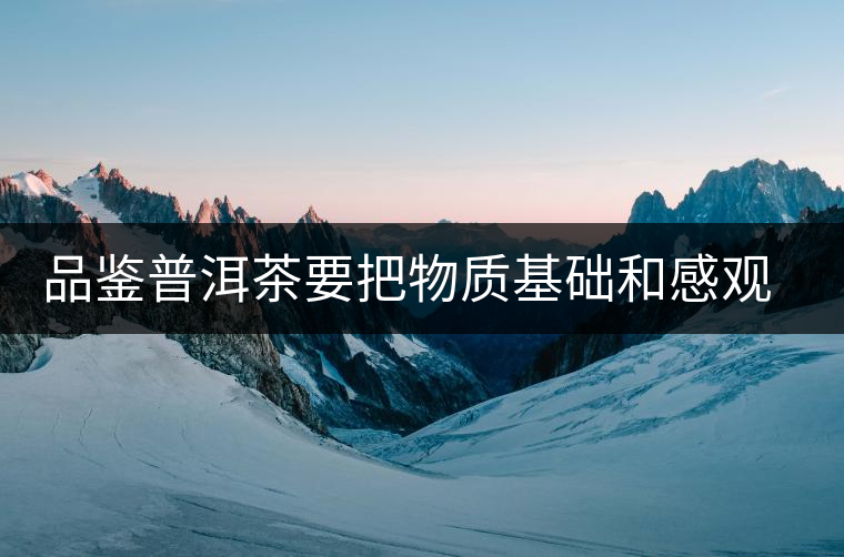 品鑒普洱茶要把物質基礎和感觀體驗結合 品鑒普洱茶要把物質基礎和感觀體驗結合