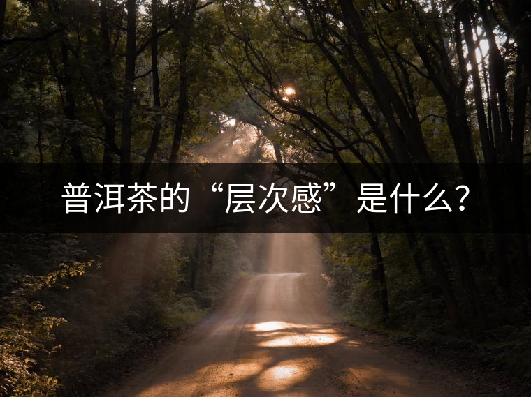 普洱茶的“層次感”是什么？