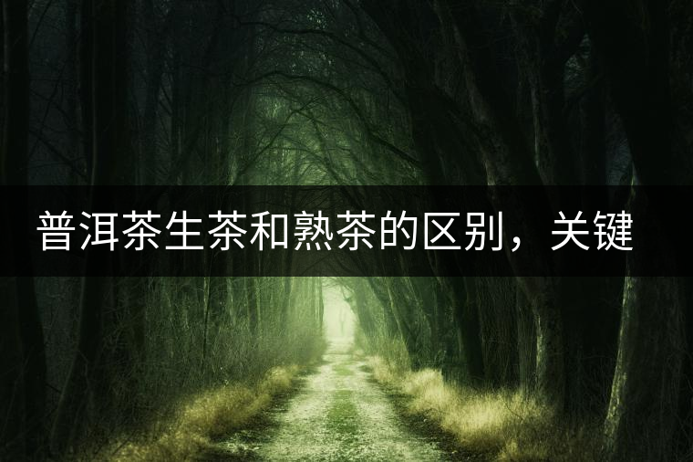 普洱茶生茶和熟茶的區(qū)別，關(guān)鍵在于前半生