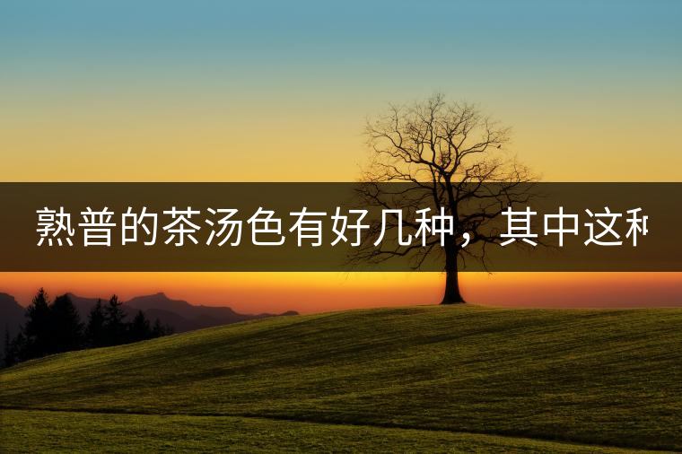 熟普的茶湯色有好幾種，其中這種不建議喝！