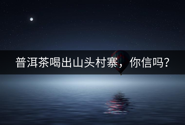 普洱茶喝出山頭村寨，你信嗎？