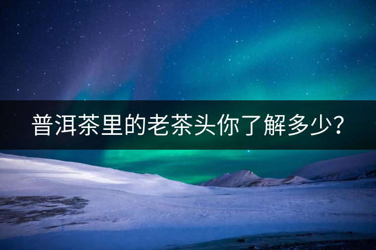 普洱茶里的老茶頭你了解多少？