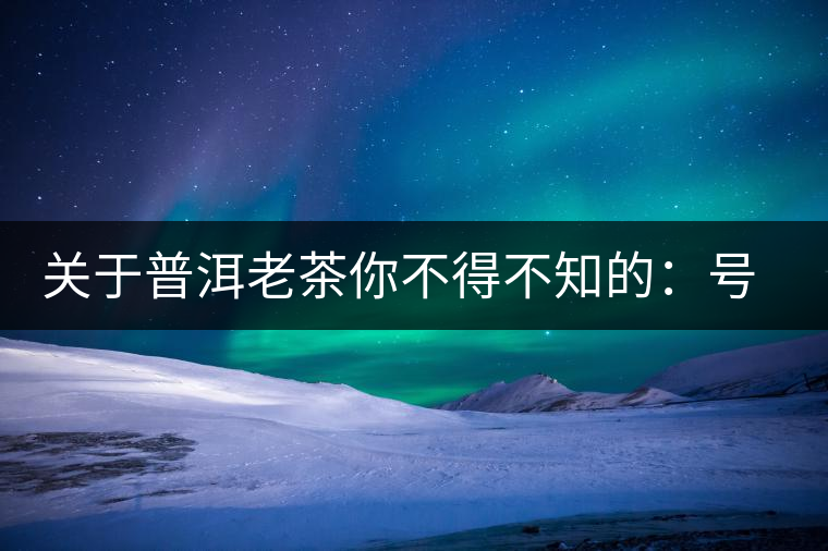 關(guān)于普洱老茶你不得不知的：號(hào)級(jí)茶、印級(jí)茶、七子餅茶