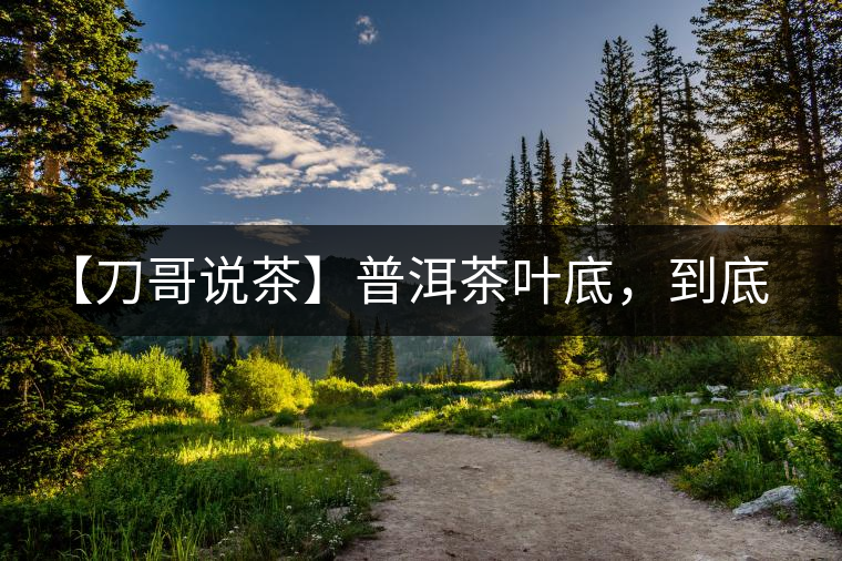 【刀哥說茶】普洱茶葉底，到底藏有多少玄機(jī)？